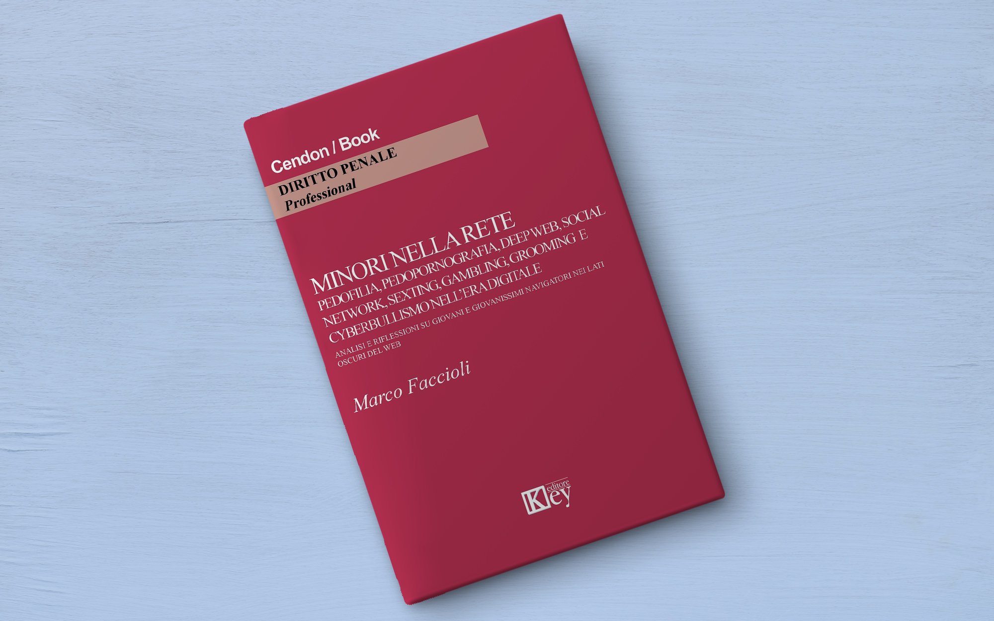 copertina libro Minori nella rete